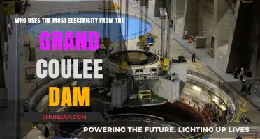 Who Relies Most on Grand Coulee Dam's Electricity?
