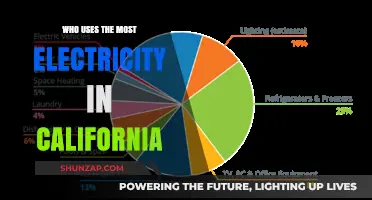 California's Top Electricity Consumers: Unveiling the State's Power Usage Leaders