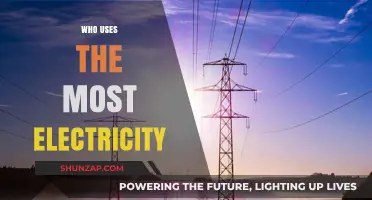 Who Consumes the Most Electricity? Unveiling Top Energy Users