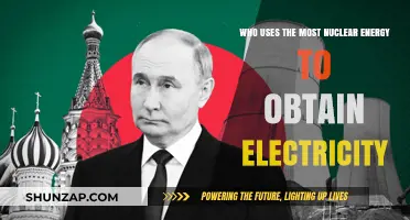 Global Leaders in Nuclear Power: Top Countries Generating Electricity