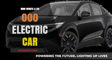 Affordable Electric Revolution: Who’s Ready for a $50,000 EV?