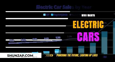 Who Wants Electric Cars? Exploring the Growing Demand and Why