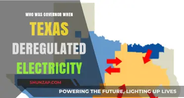 Texas Electricity Deregulation: Who Was the Governor?
