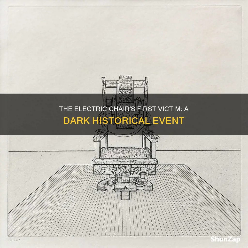who was the first electric chair victim