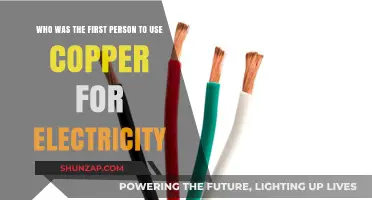 Pioneering Power: Who First Harnessed Copper for Electricity?