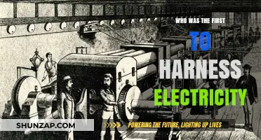 The First Spark: Unlocking Electricity's Ancient Origins