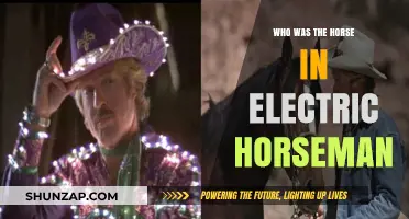 The Electric Horseman: A Horse Named…