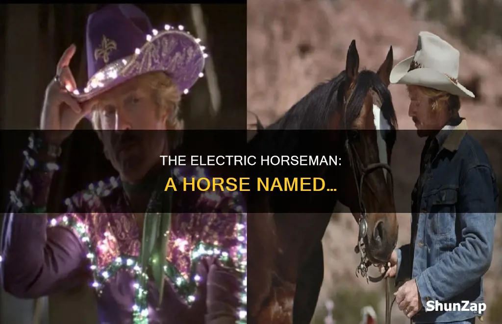 who was the horse in electric horseman
