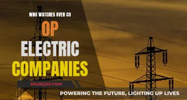 Who Oversees Electric Cooperatives? Regulatory Bodies and Their Roles