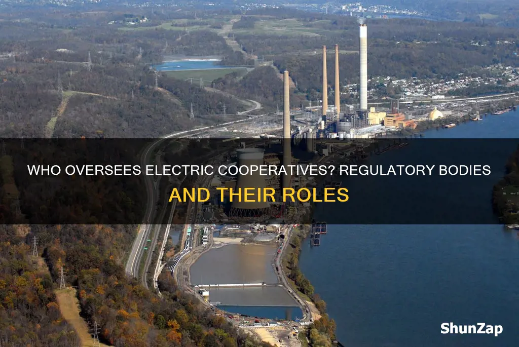who watches over co op electric companies