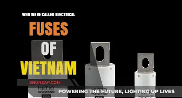 Electrical Fuses of Vietnam: The Human Cost of War