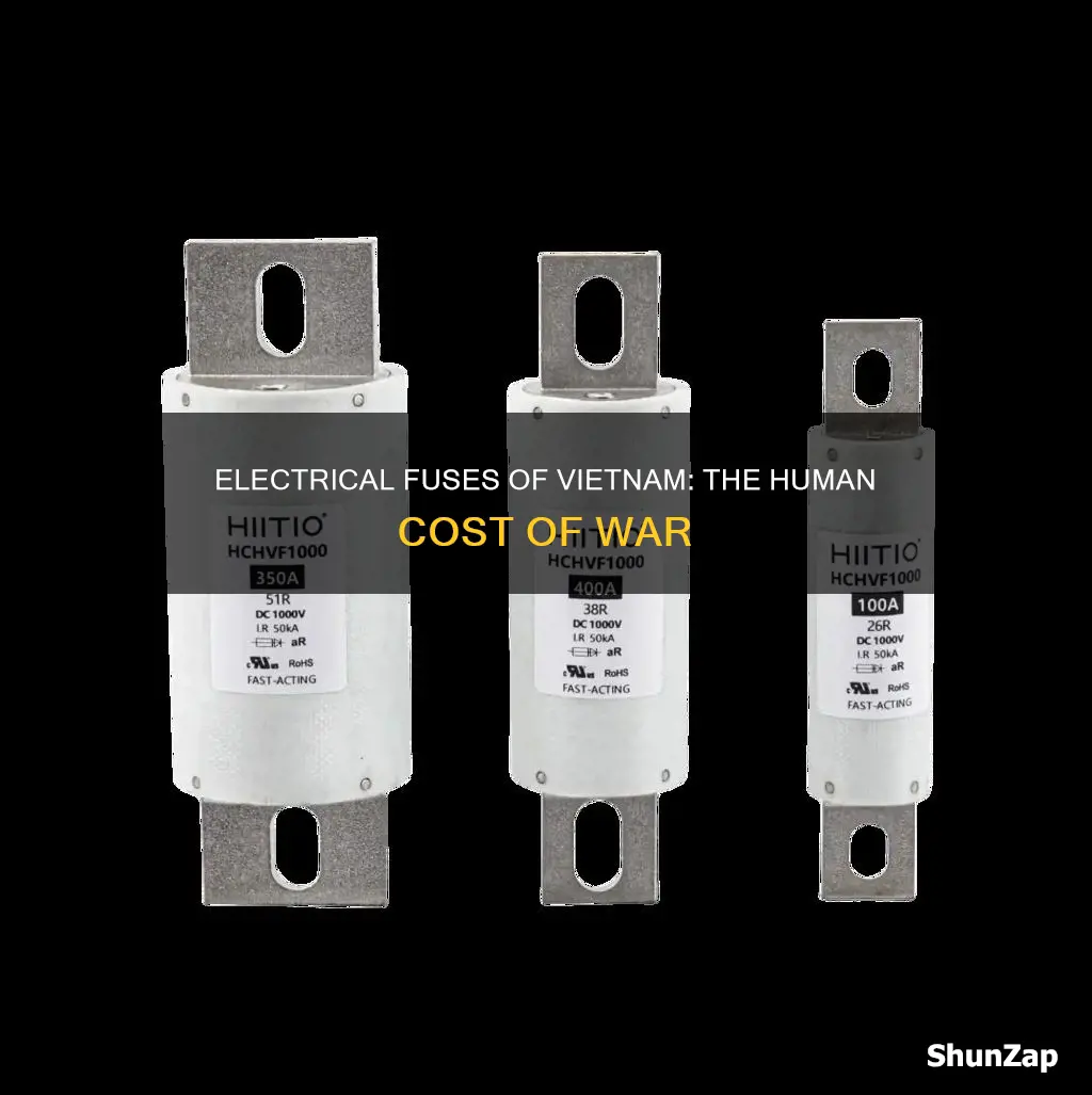 who were called electrical fuses of vietnam