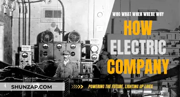 Electric Companies: Who, What, When, Where, Why, and How?