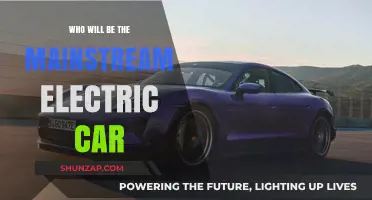 The Race to Dominate: Which Electric Car Will Go Mainstream?