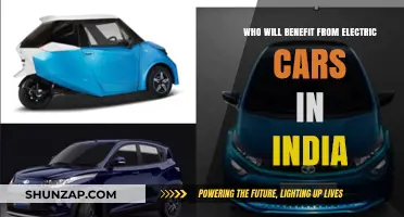 Electric Cars in India: Who Stands to Gain the Most?