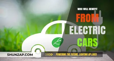 Electric Cars: Who Gains the Most from the Green Revolution?