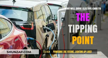 Who Will Drive Electric Cars to the Tipping Point?