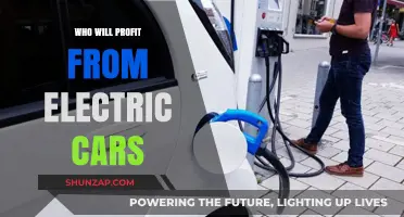 Electric Vehicle Revolution: Unveiling the Winners in the Green Auto Industry