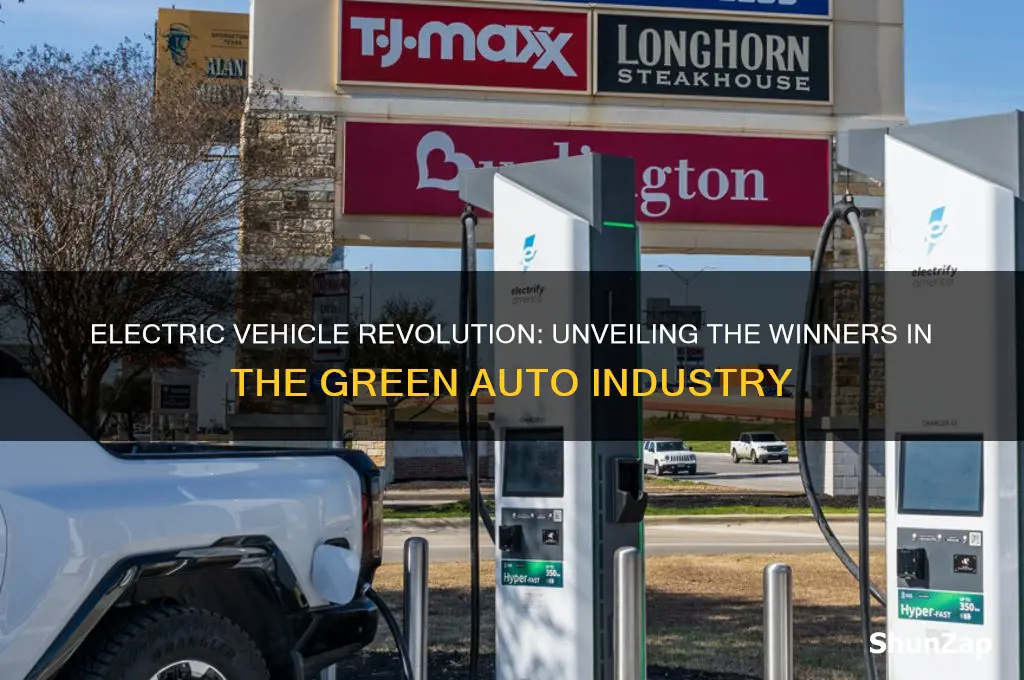 who will profit from electric cars