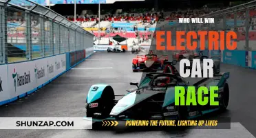 Electric Car Race: Who Will Dominate the Sustainable Future?