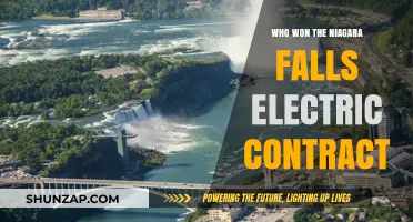 Niagara Falls Electrification: Who Powered the Falls?