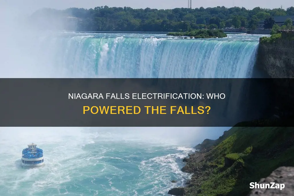 who won the niagara falls electric contract