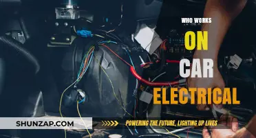 Who Fixes Car Electrical Issues? A Guide to Auto Electricians