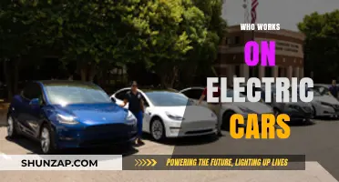 Who Works on Electric Cars? Exploring the Diverse Teams Behind EV Innovation