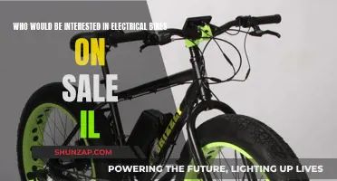 Electric Bike Sales in Illinois: Who's Buying?