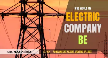 Unveiling the Mystery: Who's Your Electric Company?