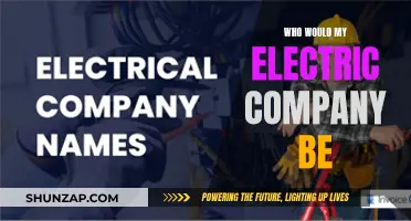 Electric Company Options: Finding Your Perfect Provider