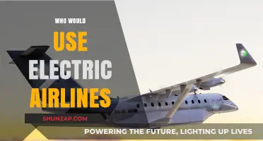Who Would Use Electric Airlines? Exploring the Future of Sustainable Air Travel