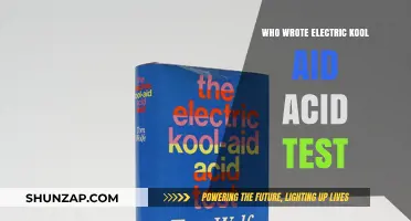 The Electric Kool-Aid Acid Test: Tom Wolfe's Perspective