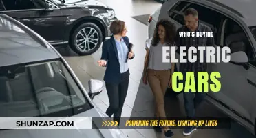 Who's Driving the Shift: Electric Car Buyers and Their Motivations