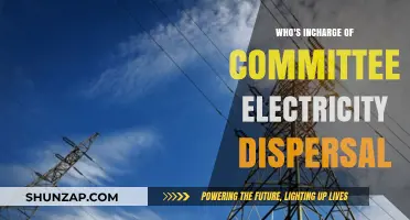 Electricity Dispersal: Who Controls the Switch?