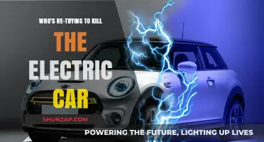 Who's Plotting to Kill the Electric Car Again?