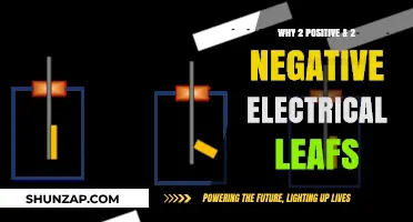 Electrical Leafs: Positive and Negative Balance