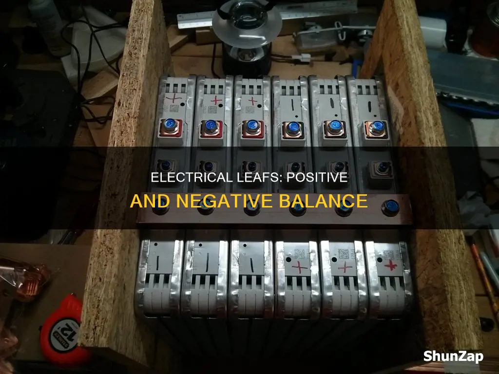 why 2 positive & 2 negative electrical leafs