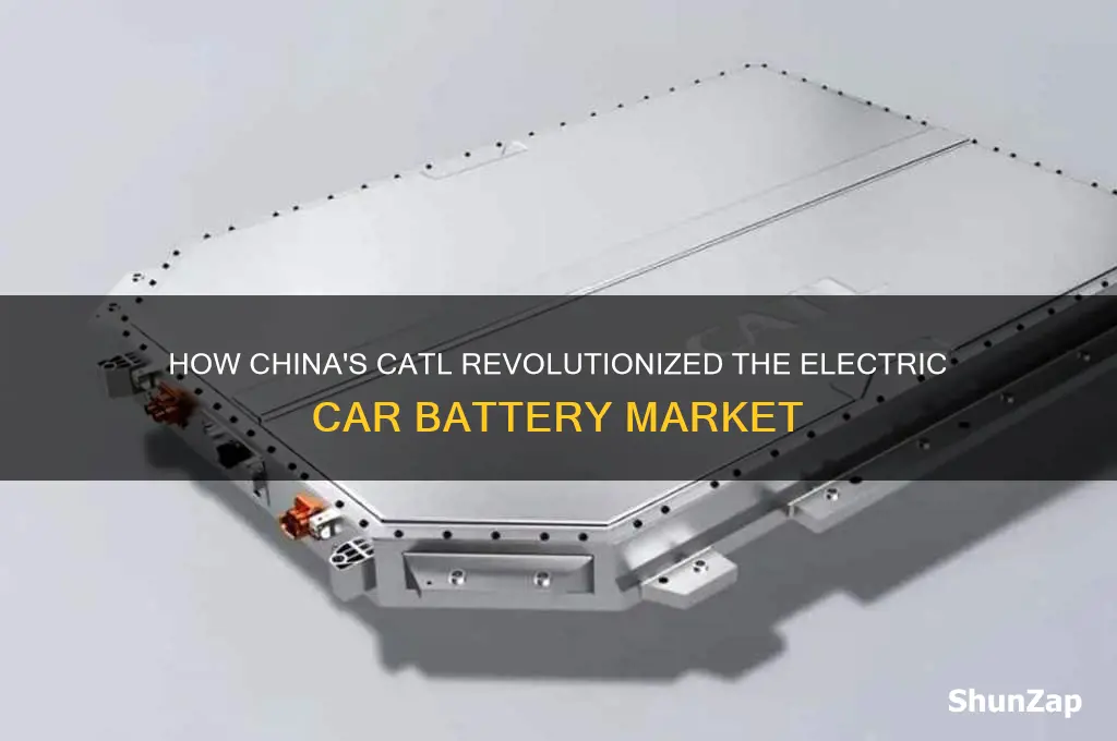 why a chinese company dominates electric car batteries