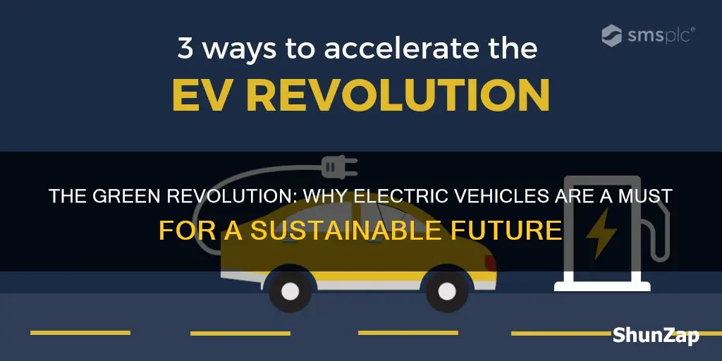 why a country should have more electric vehicles