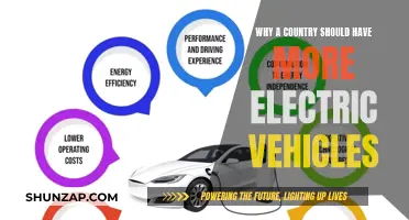 Electric Vehicles: A Country's Green Future