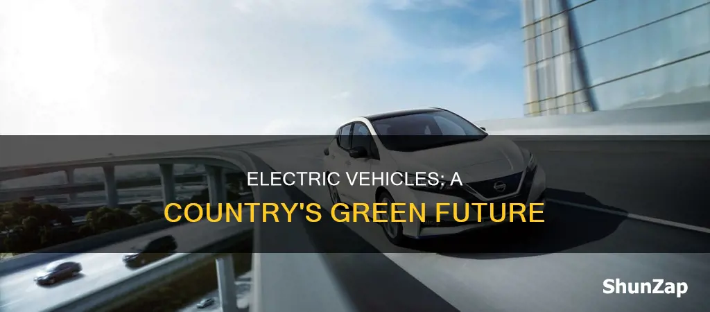 why a country should have more electric vehicles