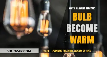 Electric Bulbs Glow and Warm: Why?