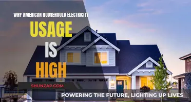 American Households: High Electricity Usage Explained