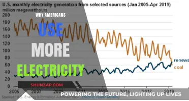 Why Americans Consume More Electricity Than Other Nations