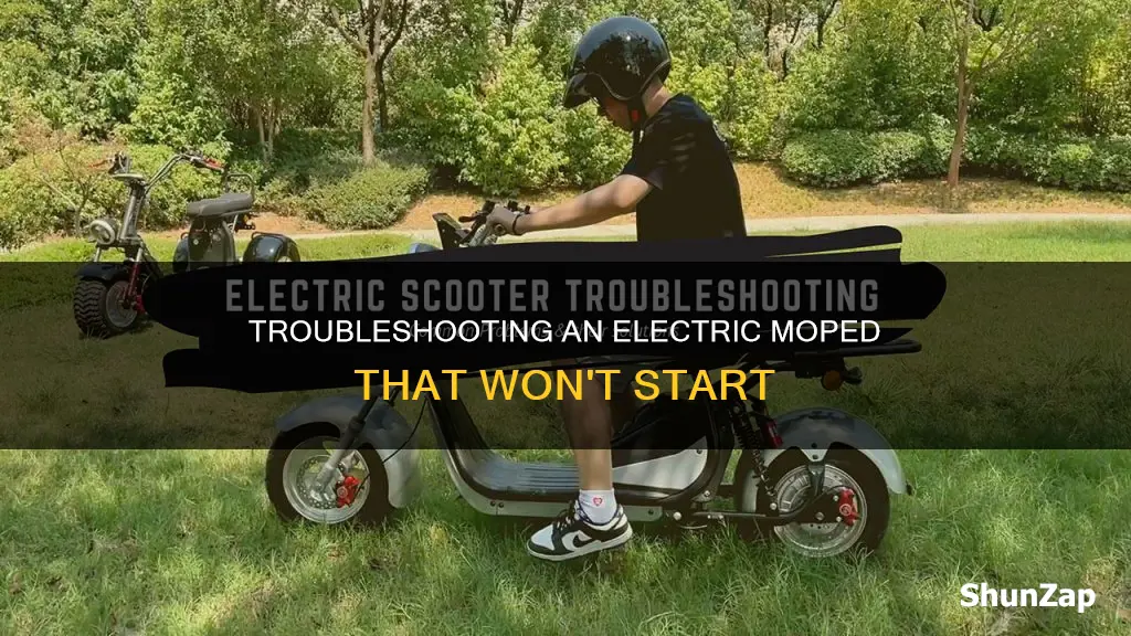 why an electric moped won