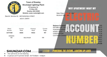 Electric Account Number: Why Apartments Need It