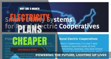 Electricity Plans: Short-Term Savings, Long-Term Costs?