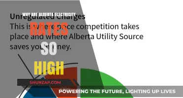 Alberta's Electricity Rates: Why So High?