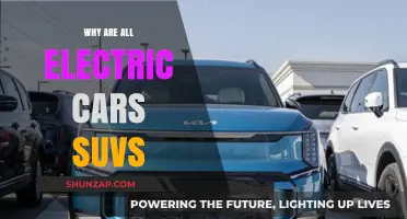 Why Electric Car Manufacturers Favor SUVs Over Other Vehicle Types